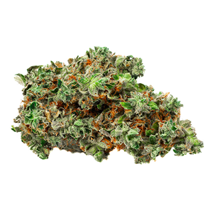 BOLD Growth - Root Beer Float - Indica - 3.5g