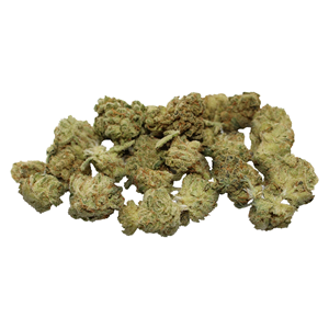 Promenade - Buddies - Hybrid - 28g