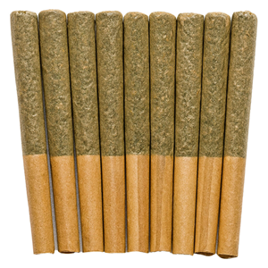 Buzz'd - Exotic Stingerz Pre-Roll - Sativa - 10x0.35g
